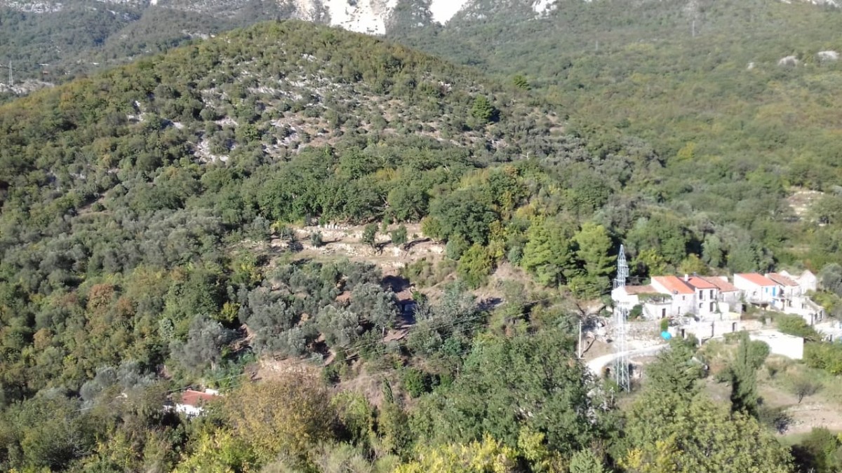 Large 10,038 m² Plot with Sea Views, Bečići, Budva